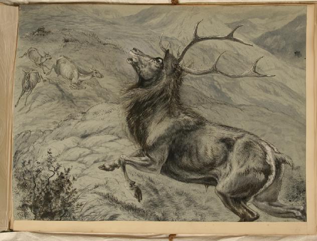 Record Image